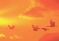 Gửi miền gió chướng