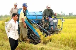 Đồng bằng sông Cửu Long: “Dấu lặng” trong cơ giới hóa nông nghiệp