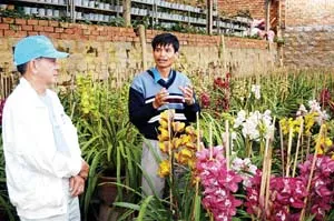 Nét mới của nông nghiệp đô thị