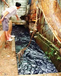 Kênh, rạch hấp hối vì nước thải của công ty dệt!