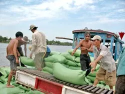 Bao tiêu nông sản ĐBSCL - Mô hình cần nhân rộng