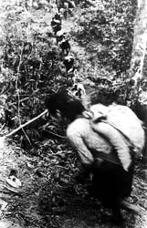 Bài 2: Chuyến hàng đầu tiên ảnh 2