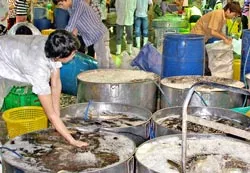 Cộng đồng trách nhiệm