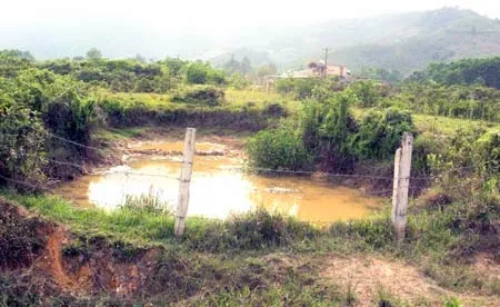 Xanh lại vùng “đất chết”