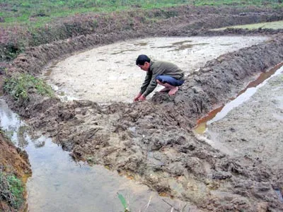 Xanh lại vùng “đất chết” ảnh 4