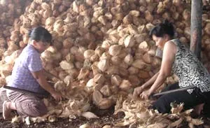 Từ hôm nay, 1-5, nhiều chính sách xã hội và hỗ trợ nông dân, doanh nghiệp có hiệu lực
