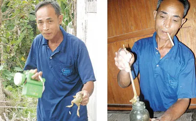 Hiện tượng lạ ở Quảng Bình - Ăn cóc trị bệnh u gan: Cần sự vào cuộc của giới chuyên môn