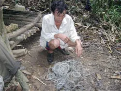 Bò tót Cát Tiên ảnh 3
