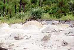 Thừa Thiên - Huế: Tranh nhau kinh doanh “mộ gió”