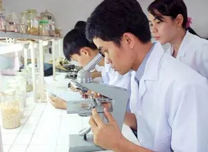 Cần làm rõ việc sử dụng khoản chi 20% ngân sách cho giáo dục ảnh 2