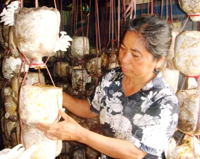 Những người “nối dài” đường Trường Sơn ảnh 3