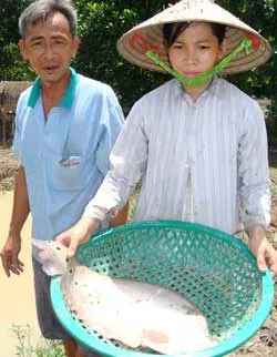 “Kỹ sư” … thác lác