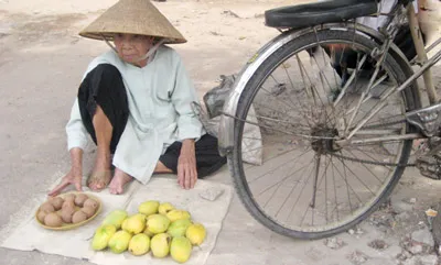 Tuổi già mưu sinh