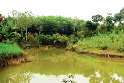 Ông làm gì cũng… lắm