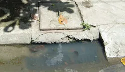 Khổ vì hệ thống cống thoát nước bị nghẽn