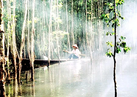 Một góc rừng U Minh Hạ. Ảnh: QU.MINH