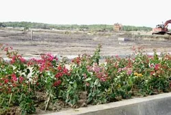 Ưu tiên cho dự án luật giải quyết bức xúc của người dân