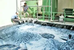 Công ty TNHH Sản xuất thương mại Việt Thắng Jean-Nhuộm màu sông Rạch Chiếc