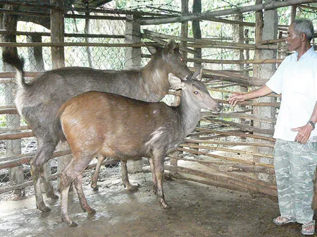 Lão nông từ thiện