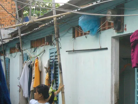 Điện lực thành phố quyết liệt vào cuộc