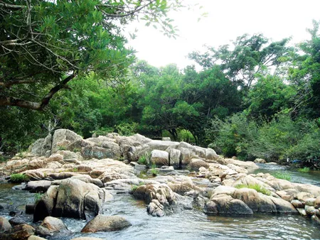 Suối Lồ Ồ ở khu bảo tồn thiên nhiên Núi Chúa.