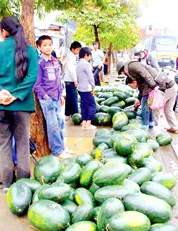 Siết chặt chất lượng 5 loại quả Việt Nam xuất sang Trung Quốc: Thách thức thành cơ hội ảnh 2