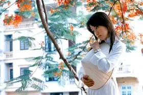 Một thời hoa phượng!