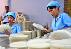 Hợp tác xã trong mối liên kết 4 nhà
