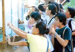 Do chấm sai môn Văn?