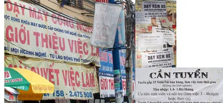 Sinh viên làm thêm hè: Coi chừng ăn “trái đắng”