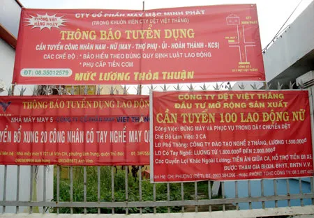 Doanh nghiệp “đỏ mắt” tìm lao động