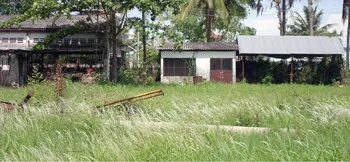 Cần Thơ: Lãng phí 21.000 m² đất công