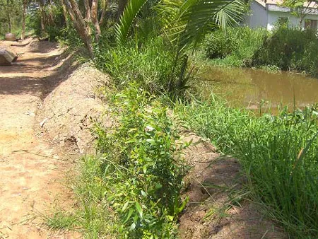 Dự án thủy lợi cho xã nghèo Bình Lợi: Chờ đến bao giờ?