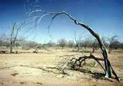 Sa mạc hóa ở Địa Trung Hải