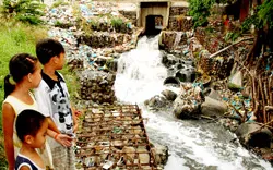 Bức tranh xám cho môi trường khu vực phía Nam