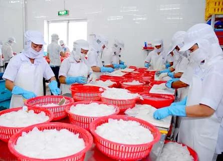 Doanh nghiệp sản xuất và chế biến nông sản: “Đau đầu” vì thuế