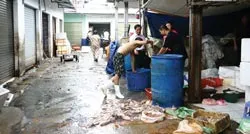 Làm trắng mực quá đát bằng hóa chất