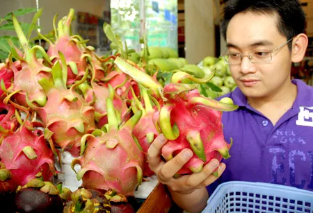 Thanh long - mặt hàng trái cây được khách hàng Trung Quốc ưa chuộng. Ảnh: ĐỨC TRÍ