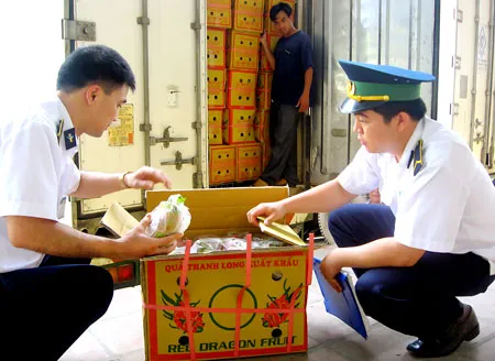 Mở ra nhiều triển vọng