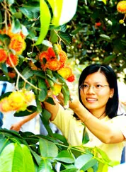 Báo SGGP và UBND tỉnh Bến Tre tổ chức hội thảo “Du lịch Bến Tre - cơ hội đầu tư và phát triển”: Đồng thuận đưa du lịch Bến Tre bứt phá