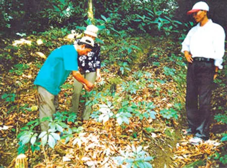 Bảo tồn… Khu bảo tồn thiên nhiên Ngọc Linh