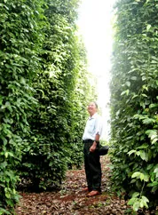 Học từ nông dân điển hình