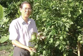 Vị ngọt trên quê hương Người mẹ cầm súng