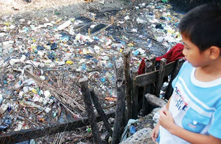 Vấn đề môi trường sẽ làm “nóng” nghị trường