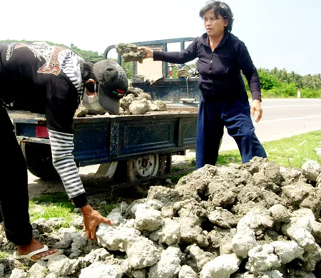 San hô chất đống trên quốc lộ 1A - đoạn qua thôn Lệ Uyên.