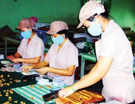 Bến Tre: Sản xuất kẹo dừa đình trệ, hàng ngàn công nhân thất nghiệp
