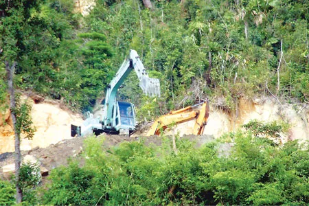 “Bức tử” rừng để lấy than