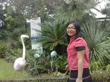 Kỳ thủ Nguyễn Thu Giang-tiến sĩ toán học tuổi 24