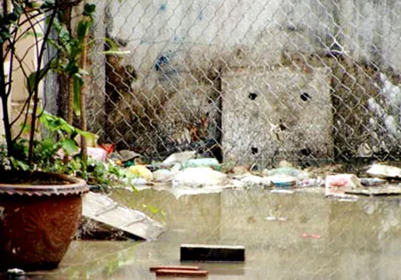 Sống chung với… nước cống