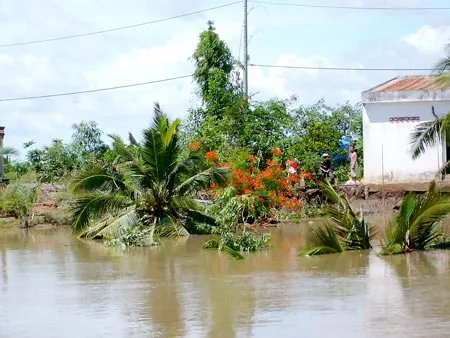 Khai thác cát bừa bãi - Bao giờ chấm dứt?
